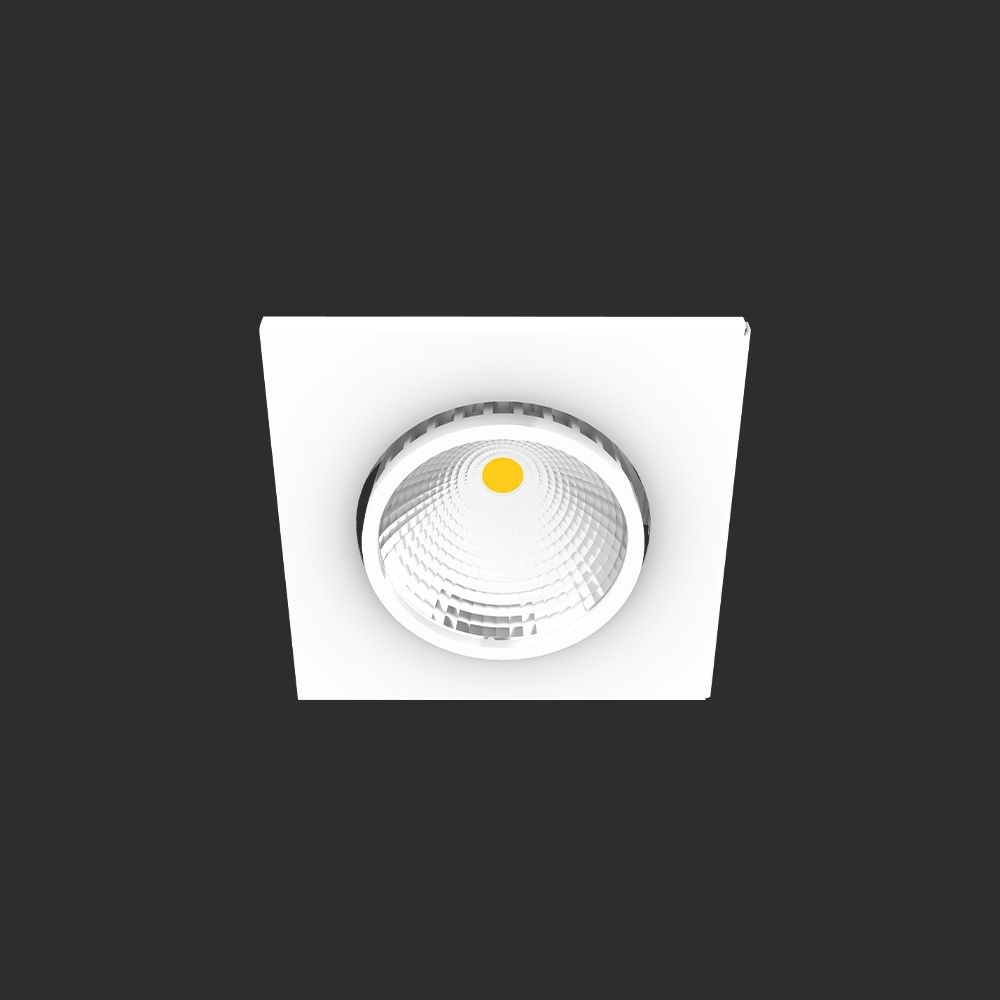 Quadro Single Flash In